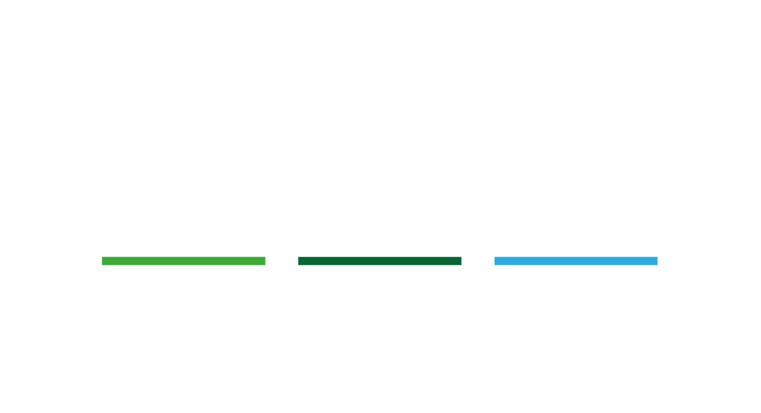 laevo_logo